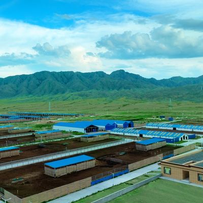 Galpão de fazenda modular para gado com estrutura de aço pré-fabricada, tratamento de superfície durável e longa vida útil