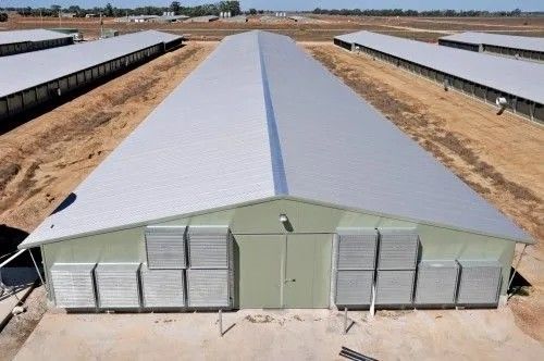 Construção industrial pré-fabricada Estrutura de aço leve Edifício de armazém Secção H Produção da China