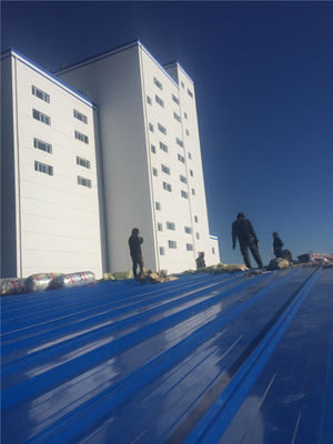 Prefabricado / Prefabricado Construção de Estruturas de Metal Leve