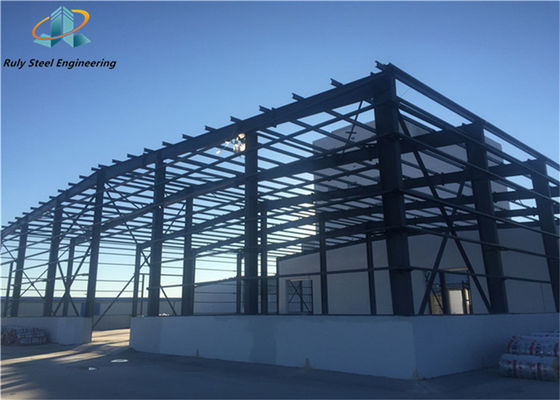 Profissional Económico Projeto Prefabricado Fabricado Industrial Grão de Portal de Largo Espaço