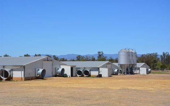 Prefabricados de aço Metálico Casa de aves Indústria Estrutura de aço