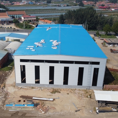 Estrutura de armazém de aço de grande espaço para edifícios de logística