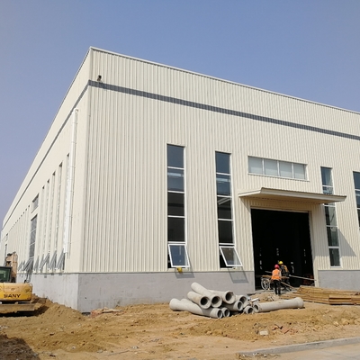 Construção de estruturas pré-fabricadas de aço sob medida para armazenagem a frio de oficinas de armazém