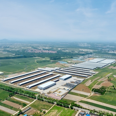 Oficina de Edifício de Aço Pré-Fabricado de Vários Andares com Grande Vão