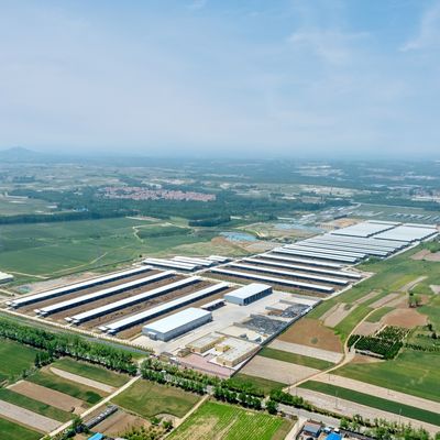 Galpão de fazenda modular para gado com estrutura de aço pré-fabricada, tratamento de superfície durável e longa vida útil