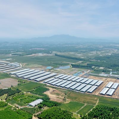 Galpão de fazenda modular para gado com estrutura de aço pré-fabricada, tratamento de superfície durável e longa vida útil