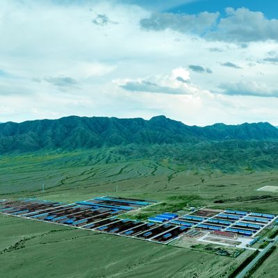 Galpão de aço galvanizado para gado de corte e leite com vida útil de 20+ anos