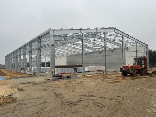Armazém de armazenamento a frio de estrutura de aço pré-fabricada com painel de sanduíche PU/PIR