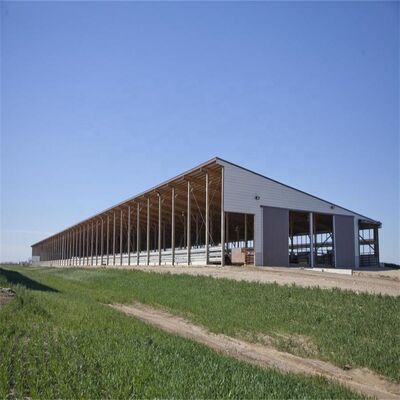 Edifícios pré-fabricados Casa de aves Estrutura de aço Casa de criação de aves Estrutura de construção de aço para galpão